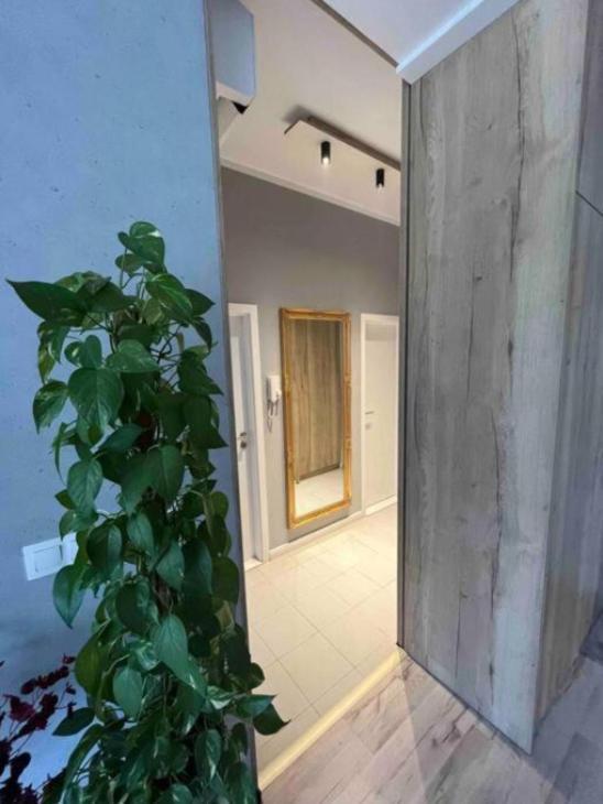 Cozy Apartment บราติสลาวา ภายนอก รูปภาพ